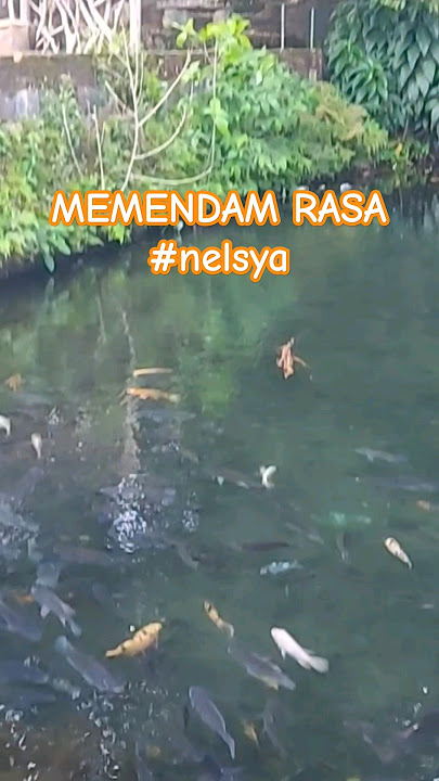 MEMENDAM RASA #nelsya LYRICS @niakurniawati1413 #youtubeshorts #shorts