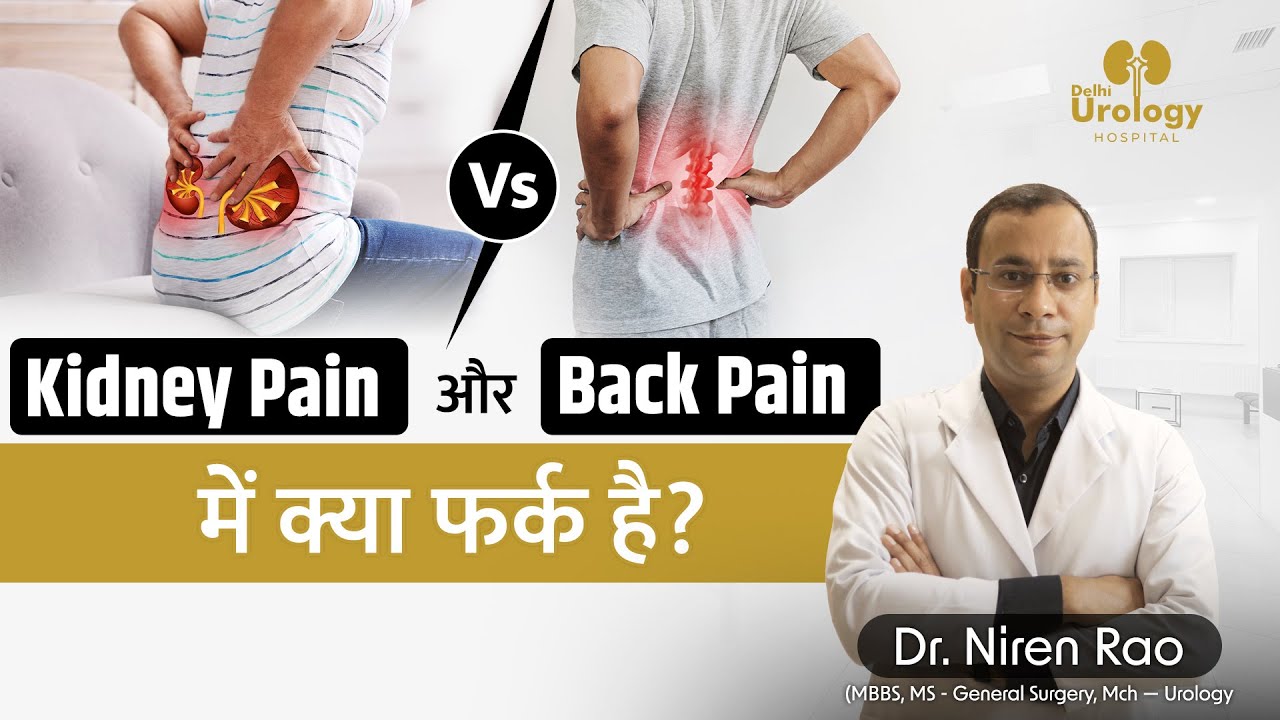 Back Pain vs Kidney Pain Causes of Back Pain & Kidney Pain Kidney