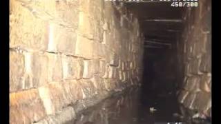 Sewer creature spotted! - Encontrada a criatura dos esgotos