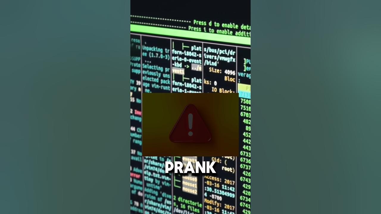 Prank with Python 🐍 #prank #python - YouTube
