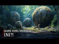 Bola Batu Bulat Sempurna di Kosta Rika—Rahasia Peradaban yang Hilang?