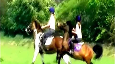 Goodbye - яємємвєя тнє ηαмє (desc.)