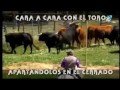 Cara A Cara Con El Toro, Apartándolos En El Cerrado