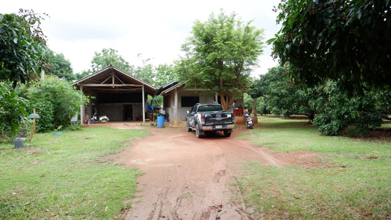 CR64176  สวนผลไม้ ต้นสัก 3-0-59 ไร่ ขาย 2,500,000 บาท ต.ดงมหาวัน อ. เวียงเชียงรุ้ง