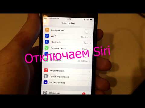 Как полностью отключить Siri и Управление голосом за 30 секунд