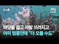 바닷물 끓고 사람 쓰러지고…이미 찜통인데 &quot;더 오를 수도&quot; / JTBC 뉴스룸