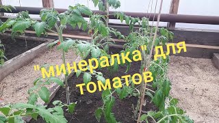 видео: Удобрения и подкормки для  томатов. картинка: Удобрения и подкормки для  томатов.