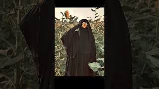 Sunflowers Rubal Unci