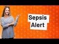 Can i get sepsis from an insect bite