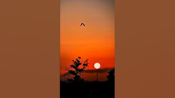 #قرآن_كريم #سورة_الزمر #الشيخ_علي_جابر #اكسبلور #تصويري #المصحف #لايك