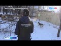 Глава Следкома Александр Бастрыкин взял на личный контроль расследование ЧП с собаками в Хабаровске