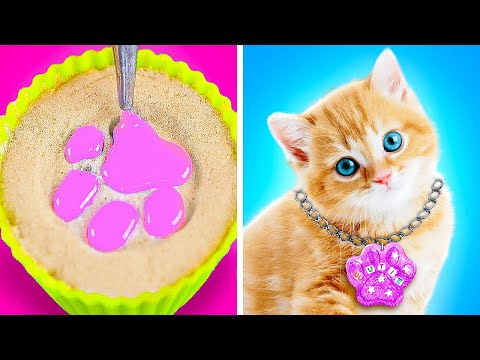 I Will Never Lose My Cat!😿❤️🩹 Best Diys and Gadgets for Pet Owners