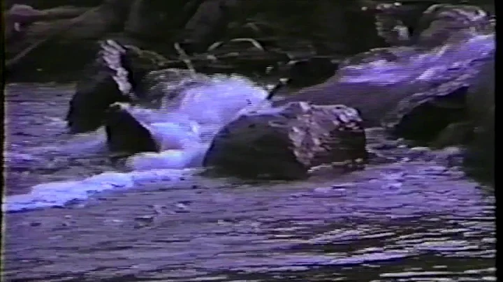 Dr. Valerie Hunt Energy Field Images