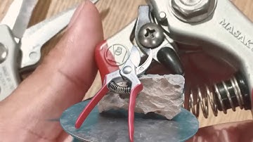 Điểm nổi bật kéo cắt cành cộng lực Masakuni