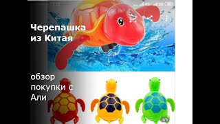 Заводная черепашка с AliExpress