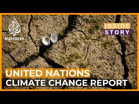 Has the UN's process to meet Climate goals been effective? | Inside Story