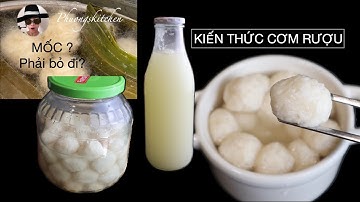 KIẾN THỨC MEN CƠM RƯỢU-  để có cách làm cơm rượu an toàn tại gia.
