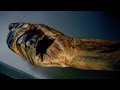 Krogan Man: Society and Significance