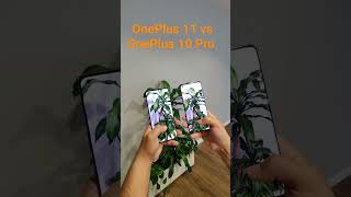 OnePlus 11 Vs OnePlus 10 pro #shortsfeed #ytshorts