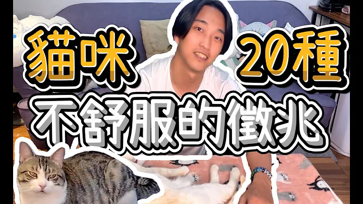 【瘋寵壓縮檔】20種貓咪不舒服/生病的症狀，為了貓咪健康一定要看完！ - 天天要聞