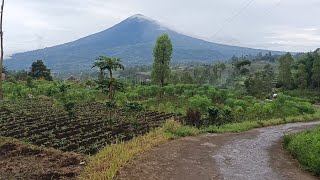 Menulusuri Jalan Pintas Dengan Pemandangan Yang Indah