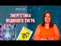 Элиана: Предсказания на 2022 год. Провида, прямой эфир 03.01.22