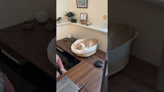 Spacious Storage Basket for Cat ToysTidelit Cat Toy Basket, Cat Toy Box Organizer Baskets, Woven Cot