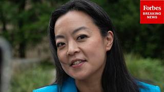 Is Media Attention On DSA Candidates Backfiring After Francesca Hong Flop GOP Strategist Weighs In