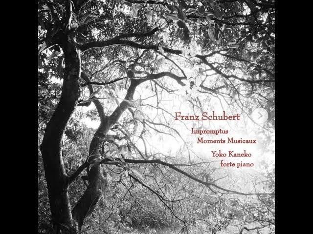 Schubert - Moments musicaux: n°2 : Yoko Kaneko, pianoforte