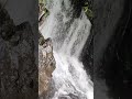 The thunderous waterfall #nainital #sightseeing #waterfall