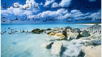 سورة المسد - علي الحذيفي