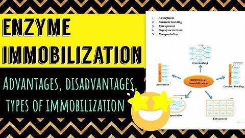 Enzyme Immobilization (advantages, disadvantages, types, applications)
