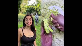 🤣👌👌👌2025 pov Kompilasi Klip Gila yang Wajib Ditonton #humor #fypシ #pov #fyp #foryou 😍😜