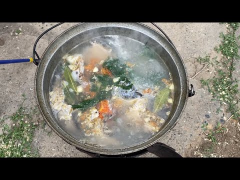 Типичная Астраханская уха из сазана. Самый простой рецепт приготовления.