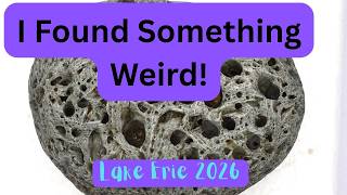 I Found Something Weird in Lake Erie