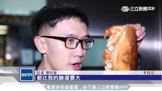 鮑魚山vs.蟹膏之王吃到飽打高檔料理戰｜三立新聞台