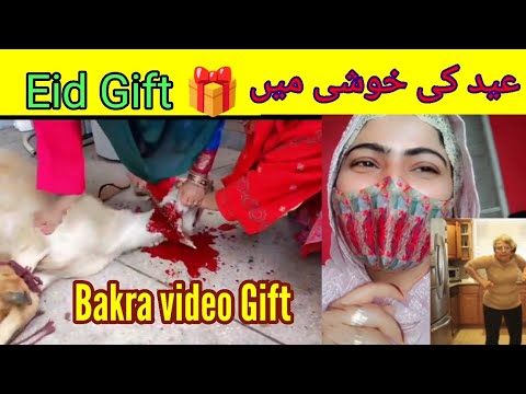 Bakra video Gift  Gift Vlog
