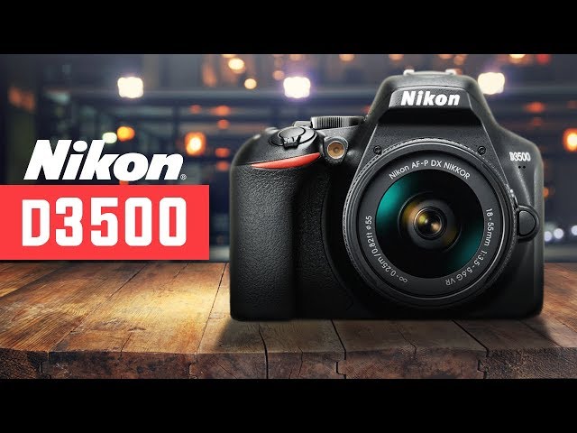 Nikon D3500 review