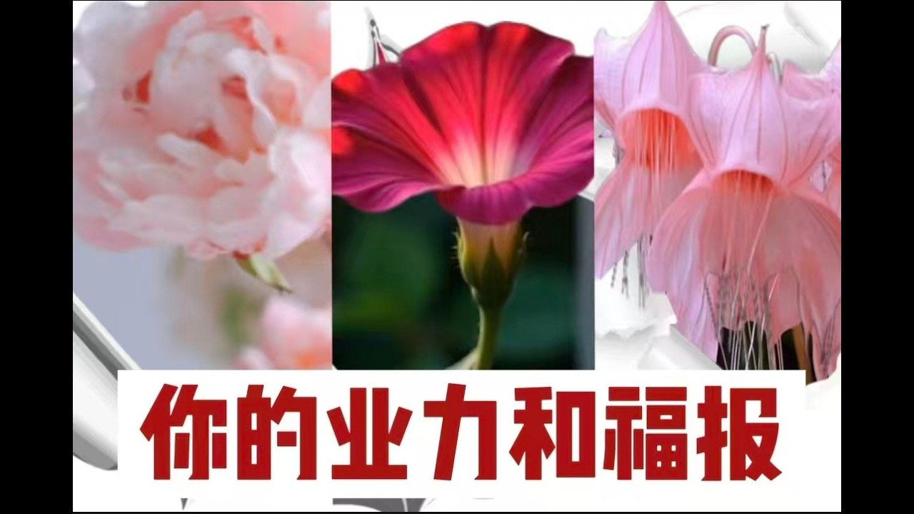 你的业力和福报Your karma and fortune.