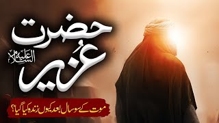 Hazrat Uzair Ka Waqia || Qasas ul Anbiya || Story of Prophet Uzair || Urdu/Hindi