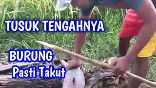 cara ampuh mengatasi burung pipit - menggunakan pelepah kelapa