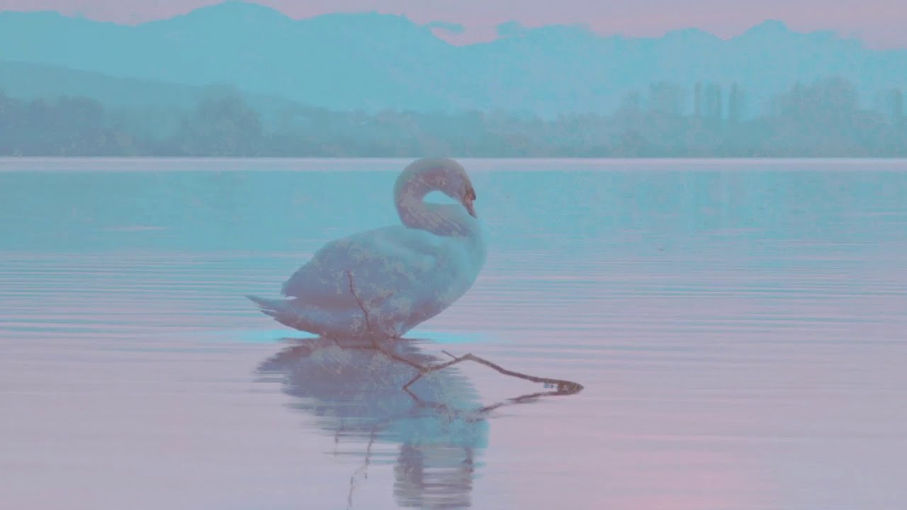 Sharliza Jelita - Emergence [Gamelan + Electronic music]