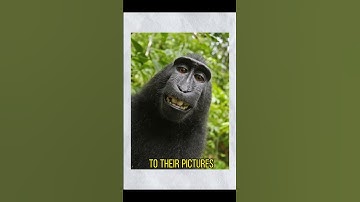 The AI Copyright Dilemma