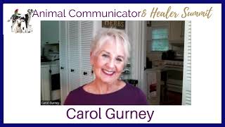 Carol Gurney on the Animal Communicator and Healer Summits by Dr Cara Gubbins 412 views 9 months ago 45 seconds
