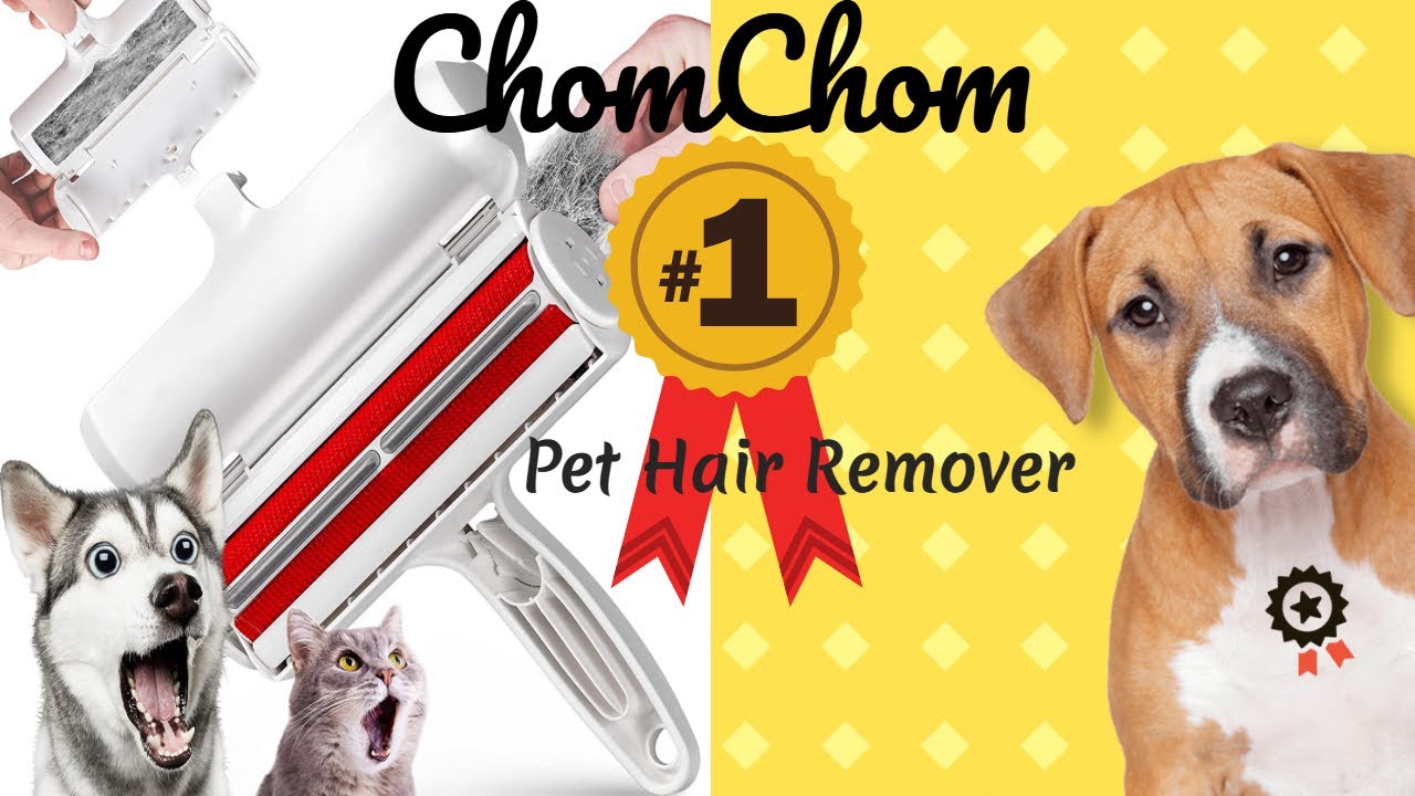 Pet Hair Remover Roller With Extendable Handle Pet Wedge Hair Remover