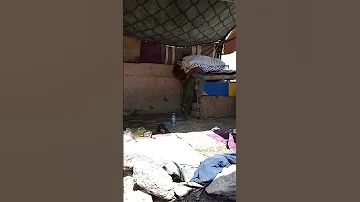 0775980501 هذا رقم هذا رقم اللي بده يساعدني 