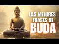 Las Mejores Frases De Buda Para Encontrar Paz