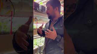 Aeroponics vs. Drip Hydroponics 4.0