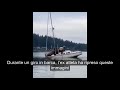 Leoni marini a bordo di una barca a vela: il riposino che fa finire la prua in acqua