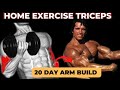 Get Bigger Arms in 20 DAYS! (Home Workout ) by dumbbells